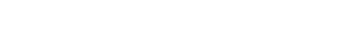 logo white torquea